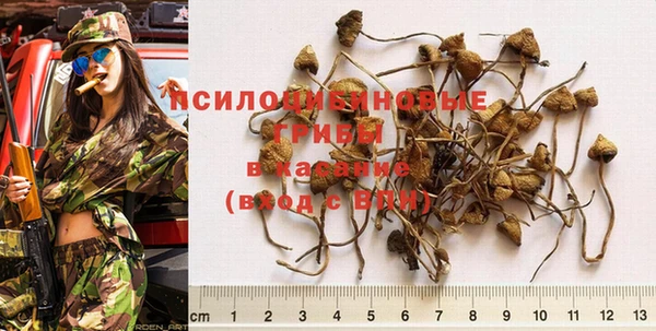 прущие крисы Армянск