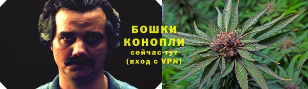 сатива Ростов