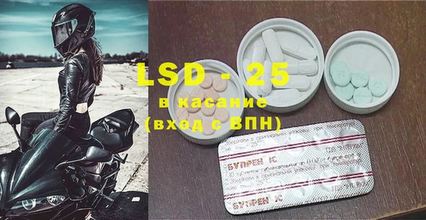 ГАЛЛЮЦИНОГЕННЫЕ ГРИБЫ Грязовец