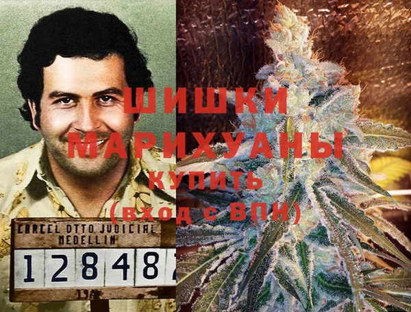 apvp Губаха