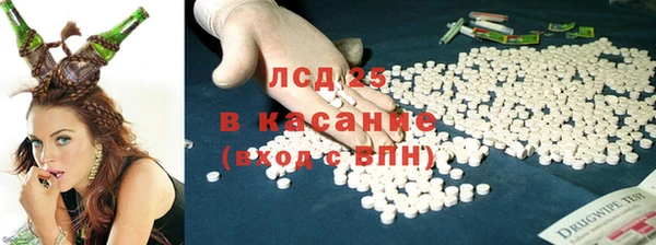ГАЛЛЮЦИНОГЕННЫЕ ГРИБЫ Грязовец